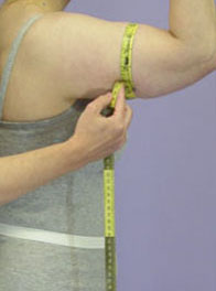 Bicep Circumference