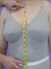 Center Front Hollow to Waist
